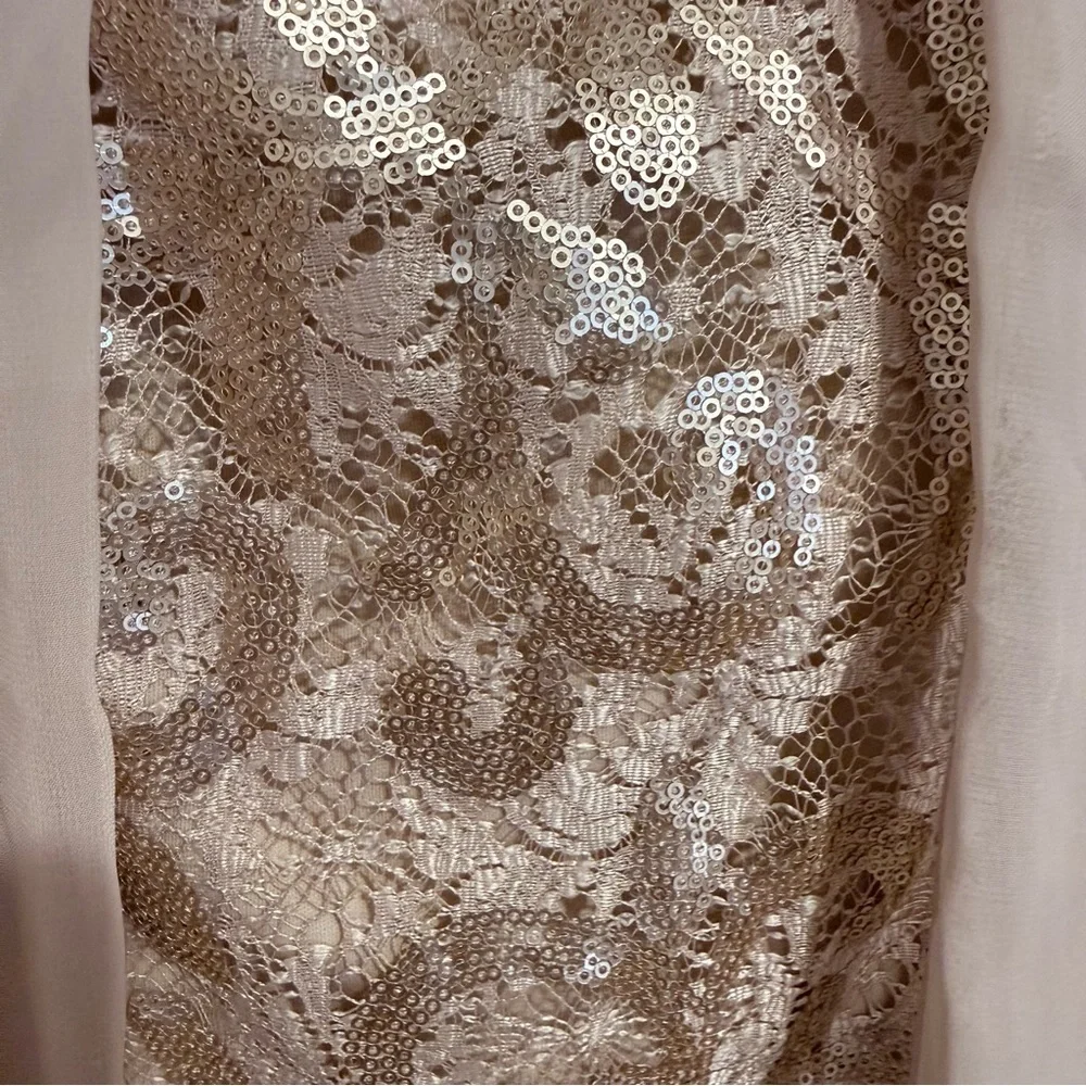 Alex Evenings Champagne Sequin Lace Chiffon Cape Sheath Dress size 6